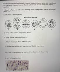 We did not find results for: The Diagram Below Show Six Cells In Various Phases Of Chegg Com