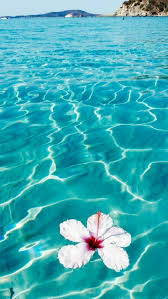 Shimonfly Beach Ocean Beach Ocean Shimonfly Nature Photography Nature Wallpaper Ocean Wallpaper