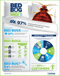 Doctor who is a british institution and considered a key part of british culture: Pest Control Pros See Summer Spike In Bed Bug Calls