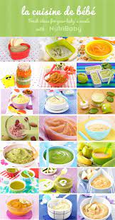 Homemade Baby Food Recipes From 6 To 9 Months Cook Delicious Baby Meals With Your Nutribaby Homemade Baby Foods Baby Food Recipes Baby Food Recipes 6 9
