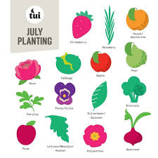 Whether it's filling pots with flowers that continue from now until next winter or planting something more permanent, getting creative with flowers is one of the great pleasures of. July Gardening Guide