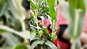 Wild Indian Couples Outdoor Sex Leads To A Steamy Orgy - XXXBP