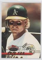 Eric Fox Baseball Cards