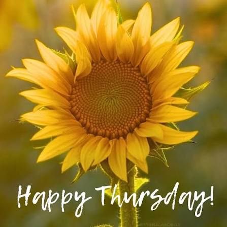 Good morning Happy Thankful Thursday 😊enjoy the sunshine ...