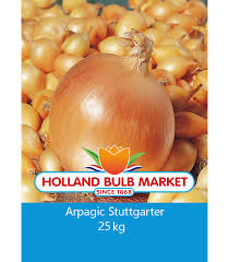 Maşină de dizlocat şi rânduit ceapă în lucru. Arpagic Stuttgarter Ceapa Standard Seminteplante Ro