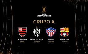 The latest tweets from copa libertadores 2020 (@libertadores_20). Asi Van Los Grupos De La Copa Libertadores 2020 Entornointeligente