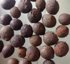 Image result for Coula edulis