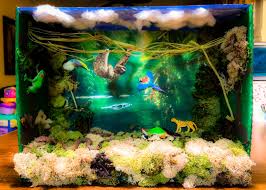 Biome In A Box Tropical Rainforest Tropical Rainforest Diorama Habitats Projects Biomes Project Rainforest Project