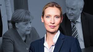 Bei einer mitgliederbefragung erzielten sie 71,03 prozent der stimmen. Alice Weidel Frau Merkel Will In Asyl Krise Und Bamf Chaos Einfach Weiterwursteln Wie Bisher Magdeburger News Das Nachrichtenportal News Rund Um Magdeburg