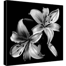 Black And White Flower Framed Wall Art Pin On Arte