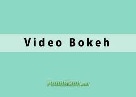 Selain bokeh, di twitter sebenarnya juga terdapat video dokumentasi pribadi, traveling. Japanese Video Bokeh Museum Indo Download Link Full 2021