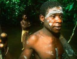 Image result for Pycreus africanus