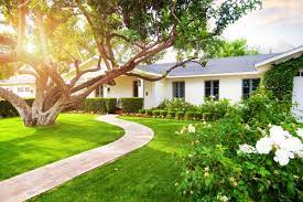 Maybe you would like to learn more about one of these? Trugreen Review Dallas Tx Lawn Care This Old House
