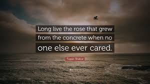 The following tupac quotes of the young rapper will give you insights into his personality and the outlaw spirit he was so popular for. Tupac Shakur Quote Long Live The Rose That Grew From The Concrete When No One Else