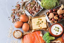 Warum Brauchen Wir Eiweiss Fur Eine Gesunde Ernahrung Eiweissreiche Ernahrung Gesunde Ernahrung Ernahrung