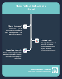 Image result for Cortisone