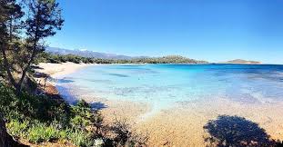Cerca nel più grande indice di testi integrali mai esistito. Camping California Zonza France Tarifs 2021 Mis A Jour Et Avis Camping Tripadvisor