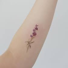 The name gladioli is drawn from the latin phrase called gladius, which means the sword. 48 Gladiolus Tattoo Ideas Gladiolus Tattoo Gladiolus Flower Tattoos
