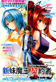 Pin On Shinmai Maou No Testament
