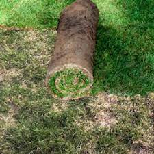 Laying New Turfgrass Sod Over An Existing Lawn Is Not A Good Idea Edging Stones How To Lay Sod Dead Grass