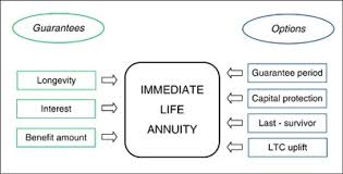 Life annuities provide an income for life with annual increases. Guarantee Structures In Life Annuities A Comparative Analysis Springerlink