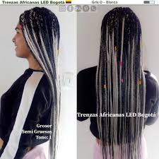 Trenzas Gris Con Blanco Bogota Trenzasafricanasledbogota En 2020 Trenzas Africanas Africanas Trenzas