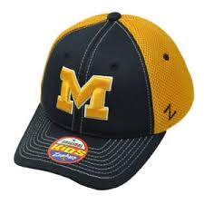 Details About Ncaa Zephyr Michigan Wolverine Flex Fit Youth Kids Jersey Mesh Hat Cap Blue