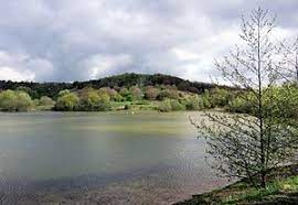 There are green landfill areas at its edge. Hummelsee Hamburg Wikipedia