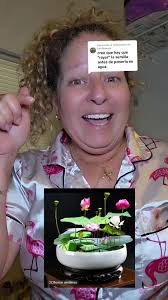 Germinación de Semillas de Loto: Paso a Paso