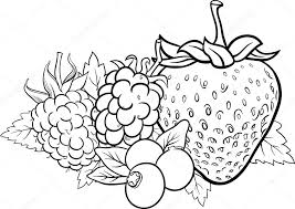 Illustrazione Di More Da Colorare Illustrazione Di Frutta Bacca
