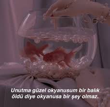Bir Balik Oldu Diye Okyanusa Birsey Olmaz 2020 Alintilar Ilham Veren Alintilar Resimli Alintilar