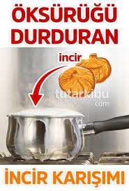 Oksuruk Kesen Incir Karisimi Incir Evde Hazirlabilen Ilaclar Saglik