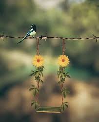 little things backgrounds miniature photography cute wallpapers cute photography