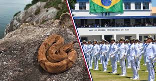 Off the shore of brazil, almost 93 miles away from downtown são paulo, is ilha da queimada grande, also known as. Why The Brazilian Navy Keeps Going To An Island Filled With Deadly Snakes We Are The Mighty