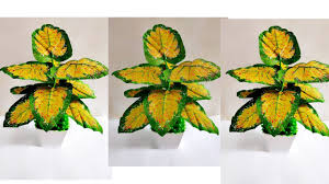 Diy Tanaman Keladi Red Star Dari Plastik Kresek How To Make Caladium Bicolor From Plastic Bag Youtube Hallo asalamualaikum di video kali ini saya mau berbagi informasi tentang jenis dan harga tanaman hias jenis keladi atau disebut juga caladium yang lagi. diy tanaman keladi red star dari plastik kresek how to make caladium bicolor from plastic bag