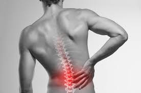 The human brain is the command center for the human nervous system. Spinal Therapy Birk Physiotherapie