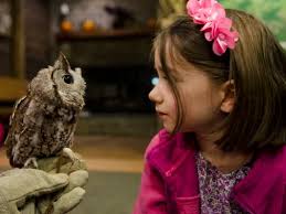 Eleanor Buck Wolf Nature Center