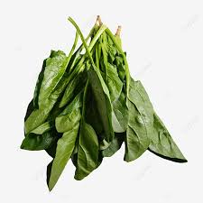 Maybe you would like to learn more about one of these? Gambar Sekumpulan Daun Bayam Baju Clipart Cerucuk Bayam Png Dan Clipart Untuk Muat Turun Percuma