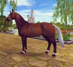 My Starterhorse Daydreamer Horse Star Star Stable Star Stable Horses