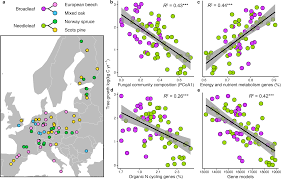 Forest tree growth is linked to mycorrhizal fungal composition and function  across Europe | The ISME Journal