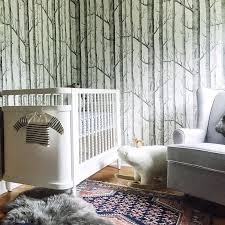 We hope you enjoy our growing collection of hd images to use as a background or home. Forest Themed Kids Rooms By Kids Interiors