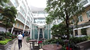 Allure of the seas central park. Allure Of The Seas Central Park 4k Youtube