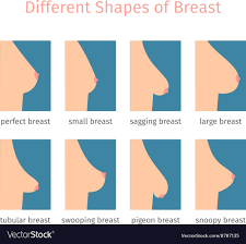 breast shapes