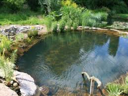 23 Breathtaking Natural Swimming Pools Natural Swimming Pools Swimming Pond Natural Pond