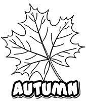 What is needed for the autumn mood? Autumn Coloring Pages Fall Topcoloringpages Net