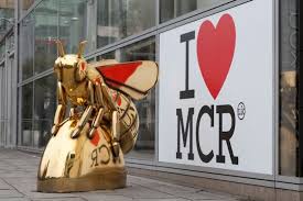 Image result for giant bees manchester