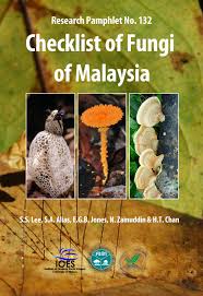 Image result for Vernonia melanocoma