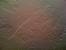 Light Hand Trowel Texture