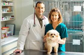 מיקום על המפה department of veterinary services malaysia. Top Veterinary Science Universities In 2018 Recognised By Vet Council Of Malaysia Excel Education Study Abroad Overseas Education Consultant