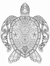 Animals Coloring Book Pdf Free Download Unique Sea Turtle Printable Coloring Pages At Getdra Turtle Coloring Pages Animal Coloring Books Mandala Coloring Pages